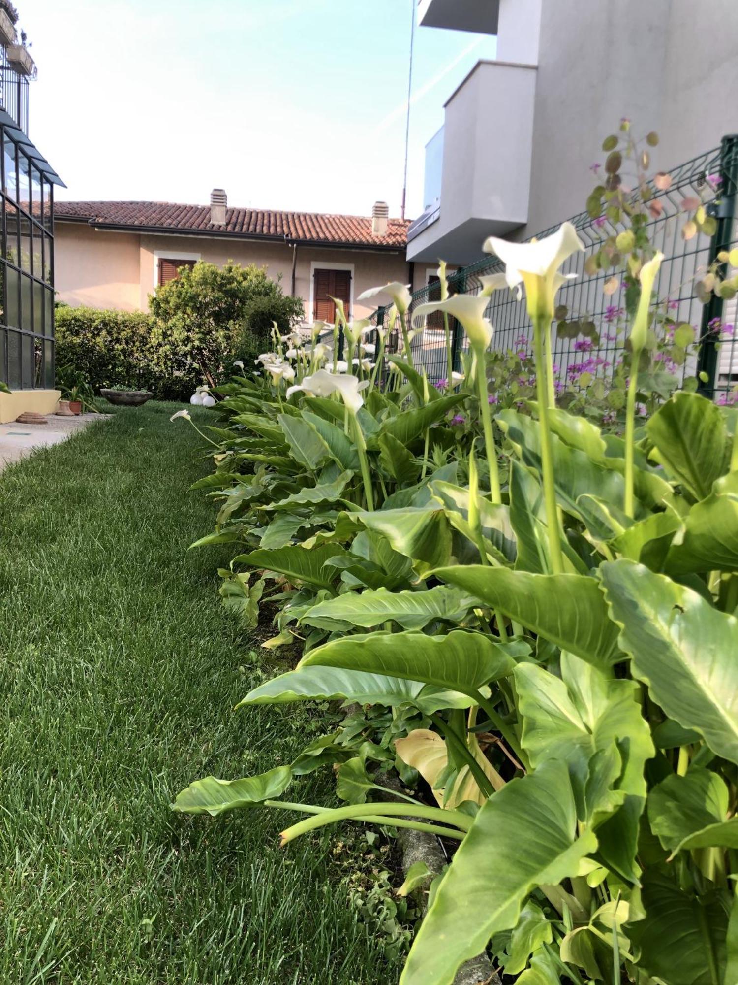 Casa Sivori Sul Lago Di Garda Con Ampio Giardino Desenzano del Garda Exterior photo